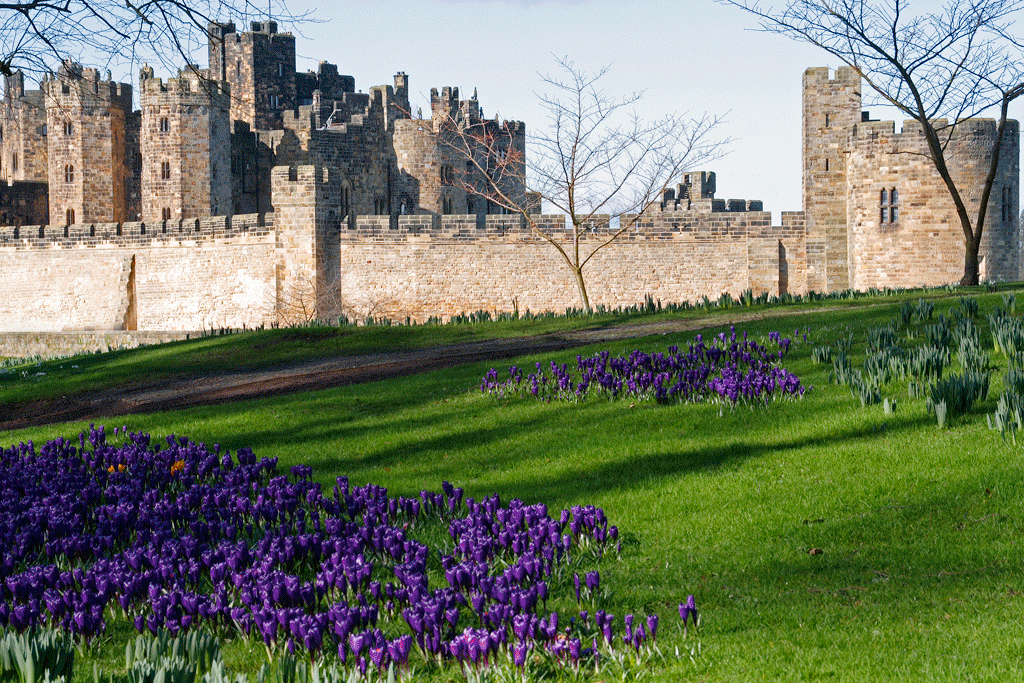 Alnwick Castle, Gertrude Jekyll’s walled garden & Howick Hall