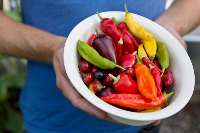 How to grow chillies - chilli varieties to try