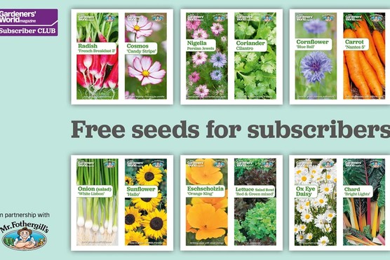 Free seeds for subscribers 2025 Free seeds for subscribers 2025