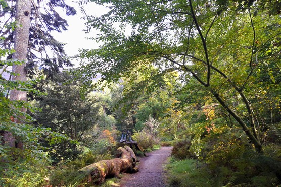 Ardkinglas Woodland Garden & Gruffalo Trail Ardkinglas Woodland Garden & Gruffalo Trail