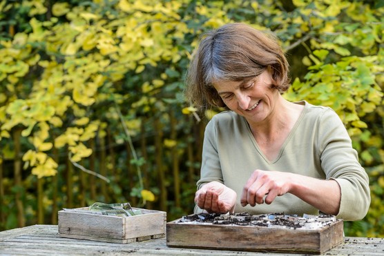 Sally Nex sowing seeds Sally Nex sowing seeds