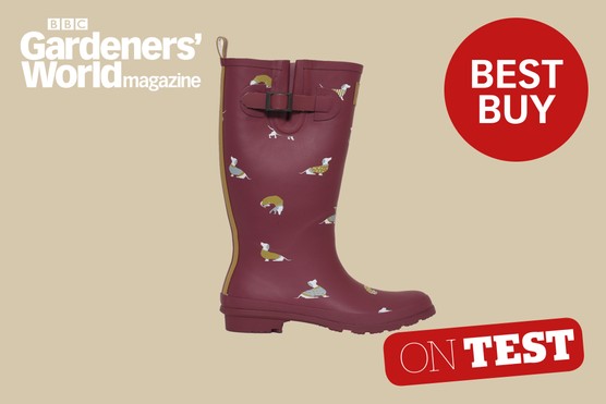 Gardeners' World Magazine Review of Brakeburn Sausage Dog wellington boots