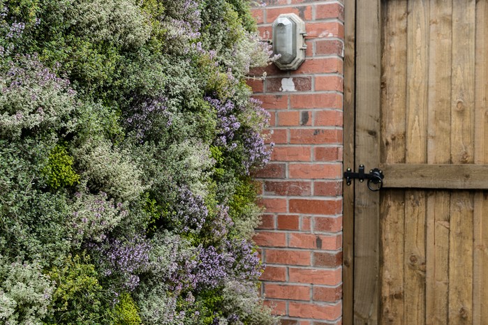 designed by Peter Cowell and Monty Richardson Green Green wall including herbs. designed by Peter Cowell and Monty Richardson Green