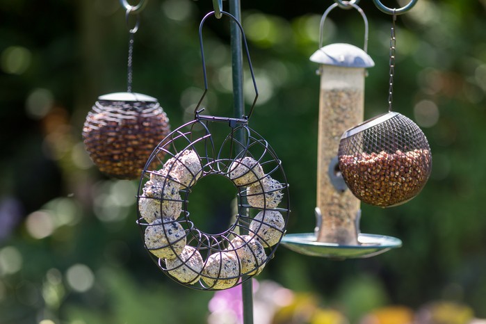 2048x1365-Dangers-to-birds-5_7_17_1040 Bird feeding station