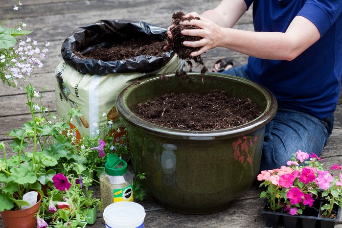 Adding compost to a container, before planting Adding compost to a container, before planting