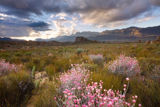 Clanwilliam and the Cedarberg Mountains, South Africa. Getty Images.