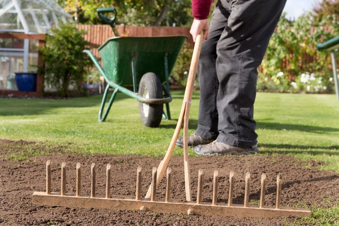 Raking the top dressing level Raking the top dressing level