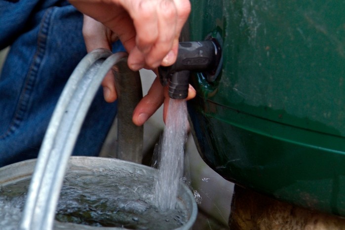 How to water your plants - using a water butt