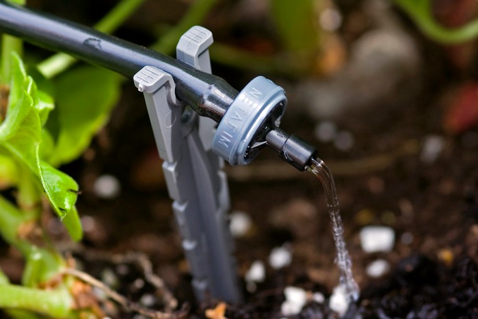 How to water your plants - using drip irrigation How to water your plants - using drip irrigation
