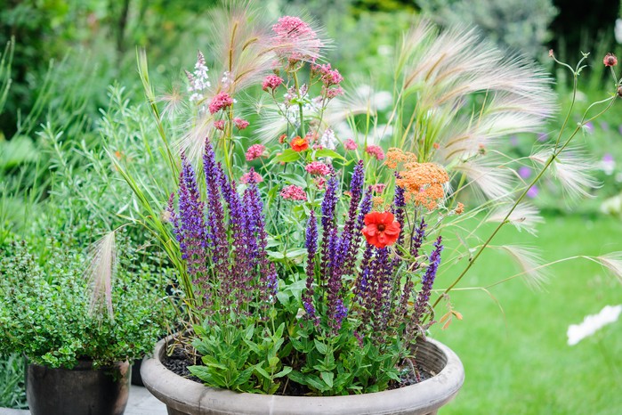 Meadow pot Meadow pot