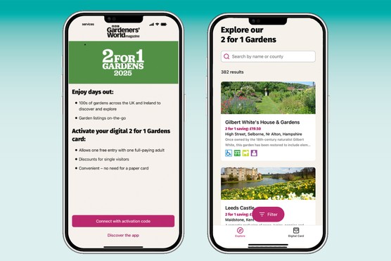 app-article-page app-activation-image