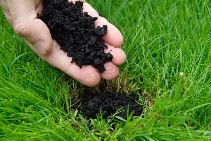 Filling in with compost Filling in with compost