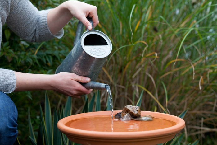 Provide water Provide water