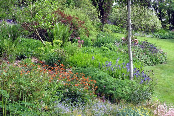 cae-hir-gardens Cae Hir Gardens