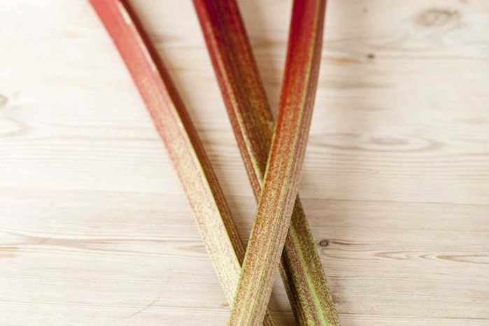 Rhubarb 'Timperley Early'