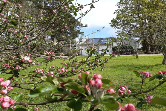 Castle Espie Wetland Centre (WWT)