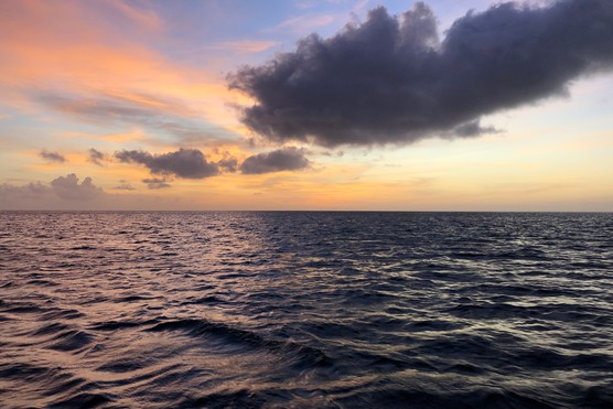 Sailing with Savvy's, Grenada