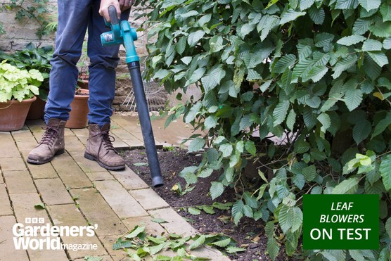 leaf blower opener Leaf blower and vacuum category page hero image: Makita leaf blower