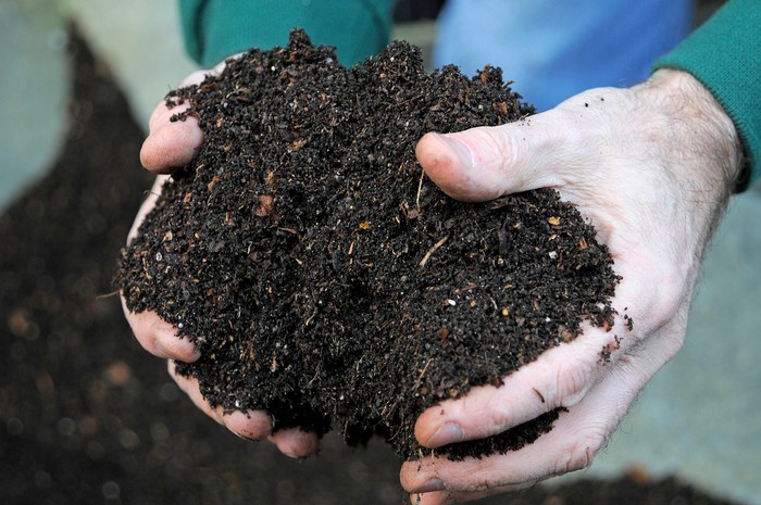 Hands holding compost. Tim Sandall Hands holding compost. Tim Sandall