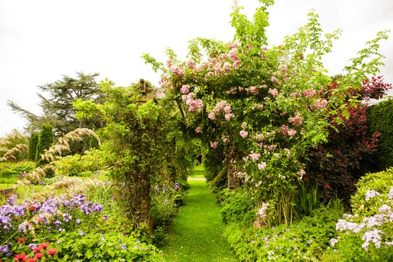 CentralCheshireAbbeywood GardenCredit Peter Wynne Photography