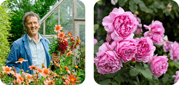 Image of Monty Don with flowers and of garden roses