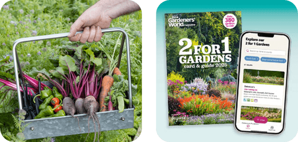 Image of vegetables grown in a garden and the 2 for 1 may edition of the magazine