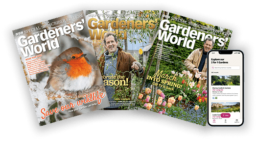 Image of magazine covers and the mobile and tablet app