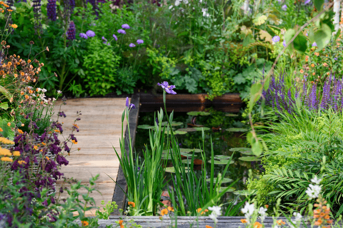 live hub page gw.com 2026 (9) show garden pond at bbc gardeners' world live